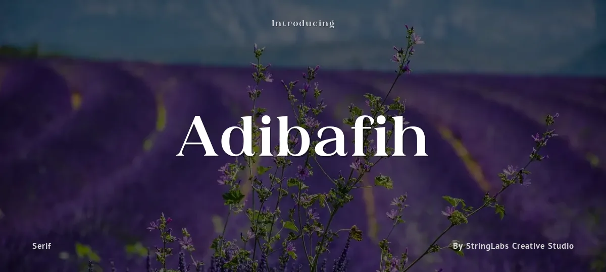 Adibafih font preview