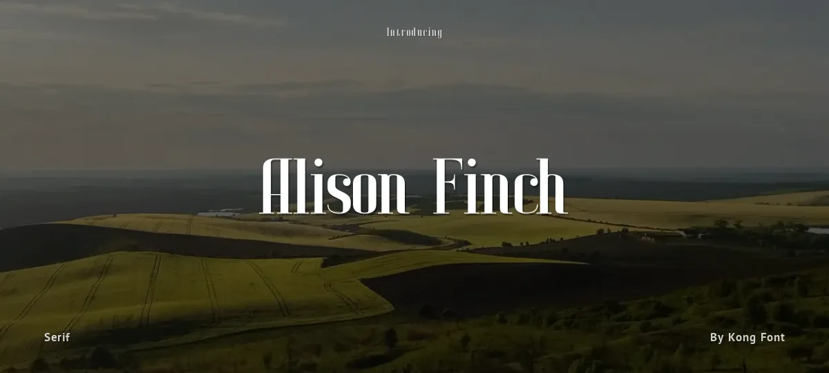 Alison Finch font preview
