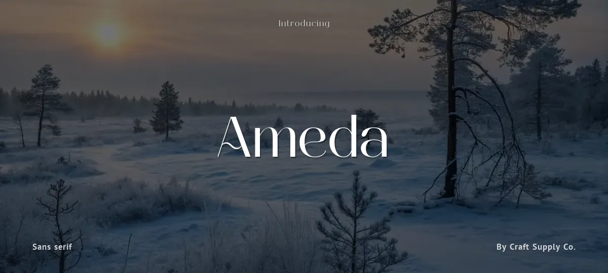Ameda font preview