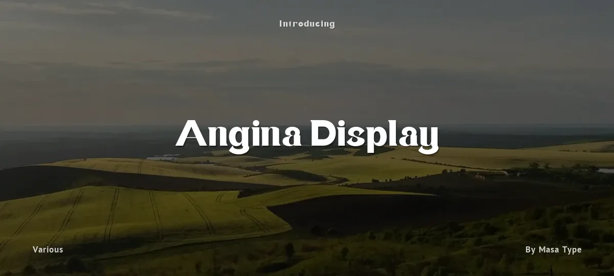 Angina Display font preview