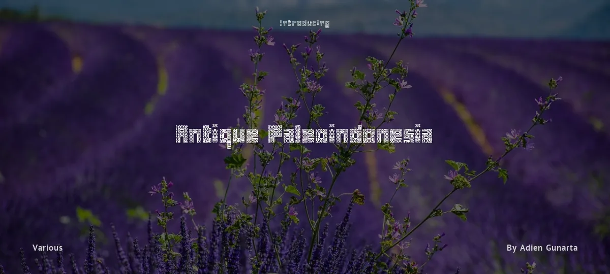 Antique Paleoindonesia font preview