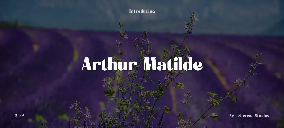 Arthur Matilde font preview