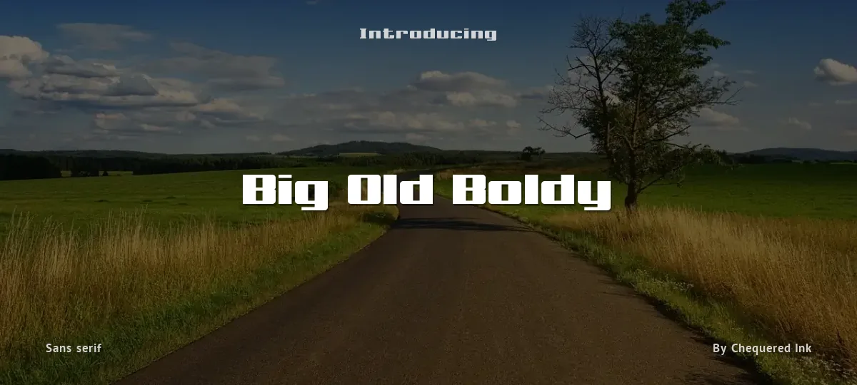 Big Old Boldy font preview