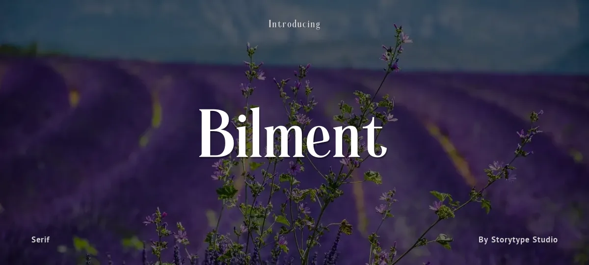 Bilment font preview