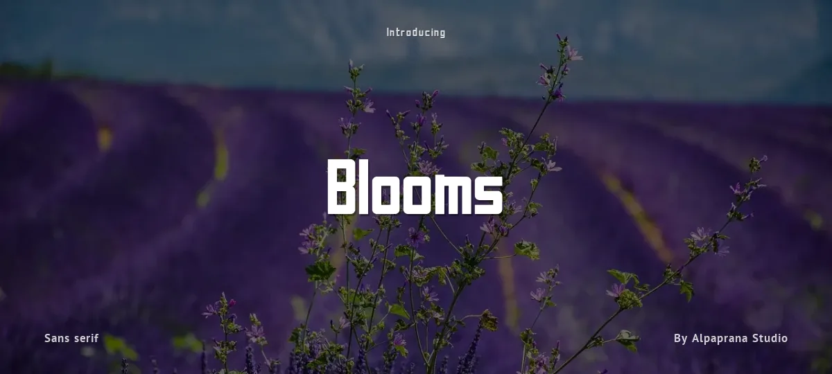 Blooms font preview