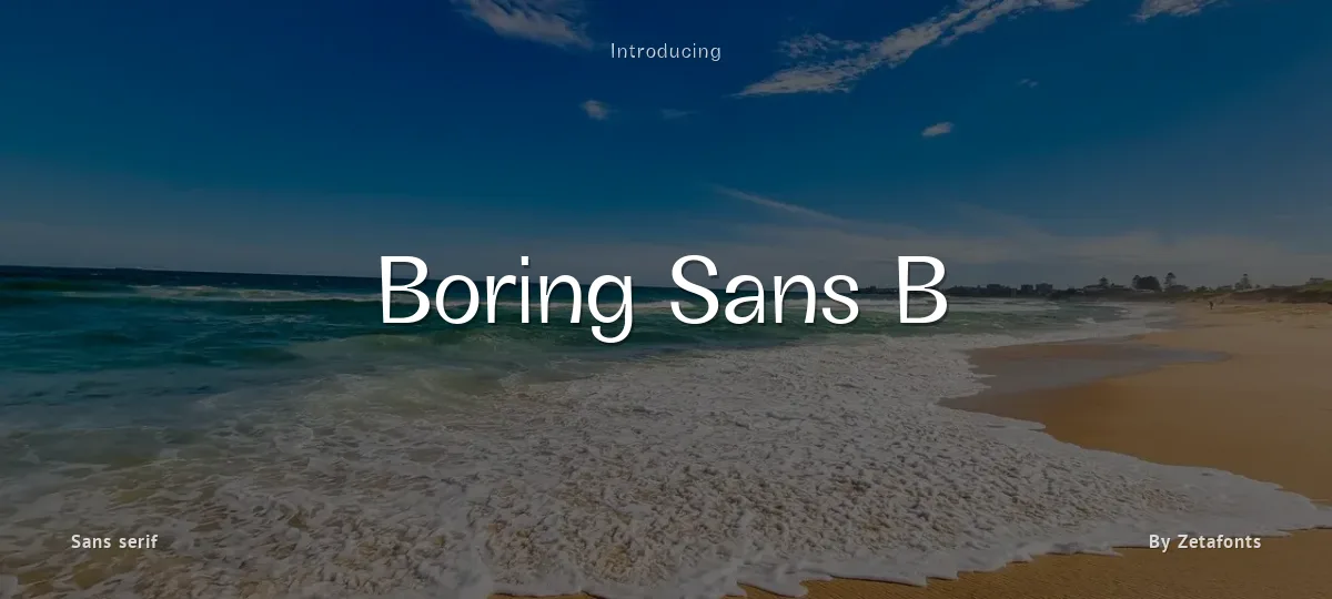 Boring Sans B font preview