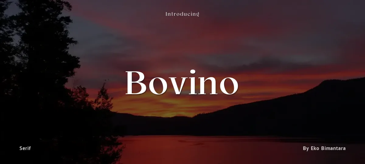 Bovino font preview