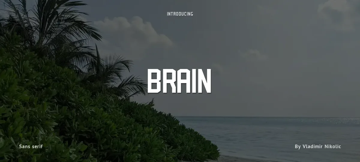 Brain font preview