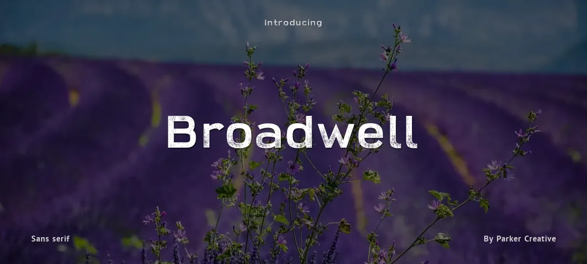 Broadwell font preview