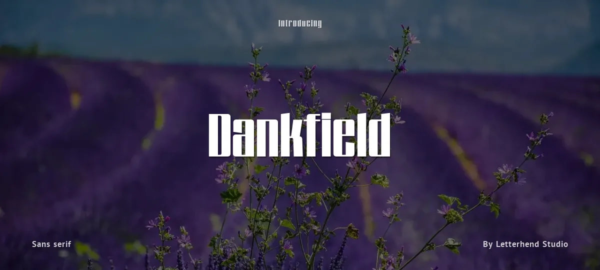 Dankfield font preview