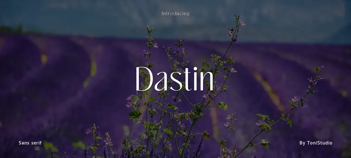 Dastin font preview