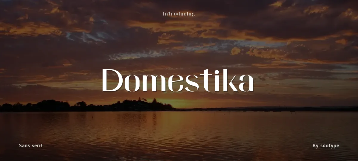 Domestika font preview