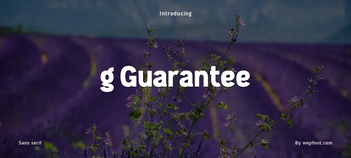 g Guarantee font preview