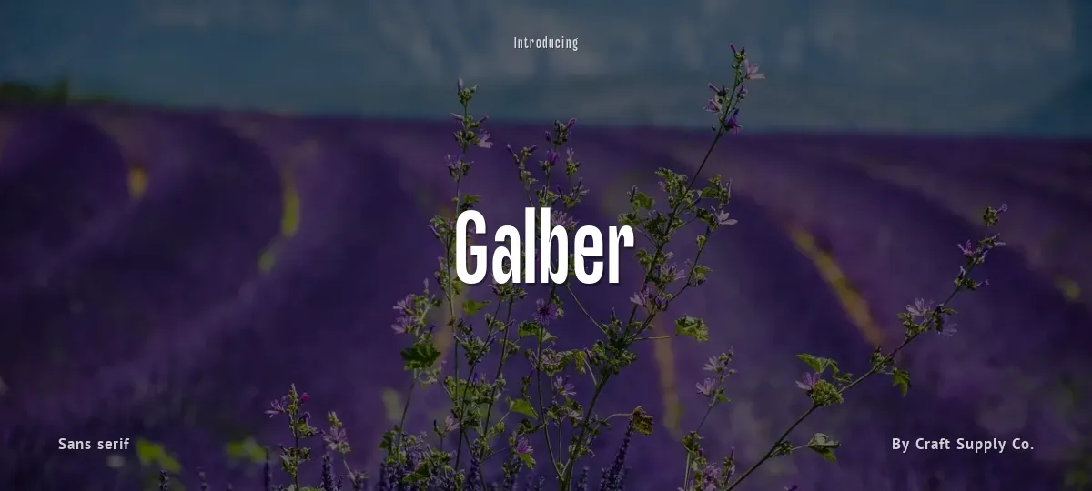 Galber font preview
