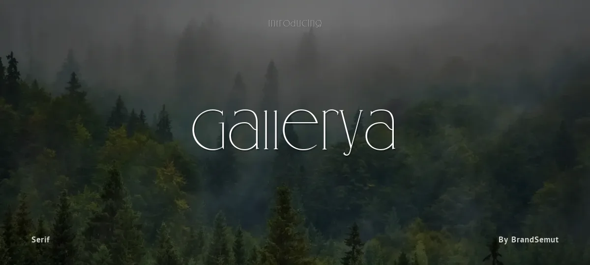 Gallerya font preview