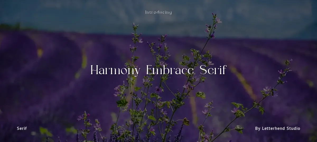 Harmony Embrace Serif font preview