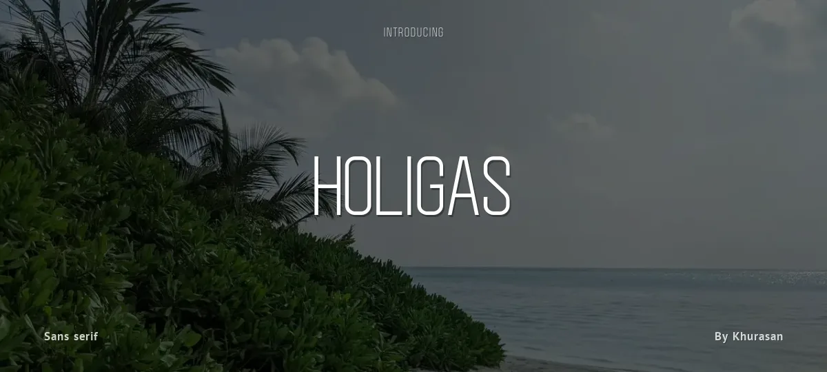 Holigas font preview