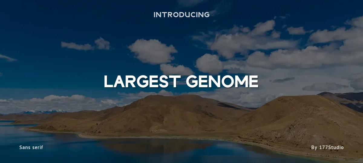 Largest Genome font preview