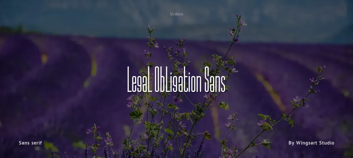 Legal Obligation Sans font preview