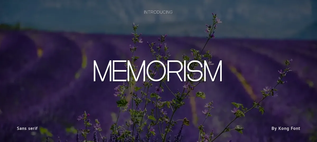 Memorism font preview