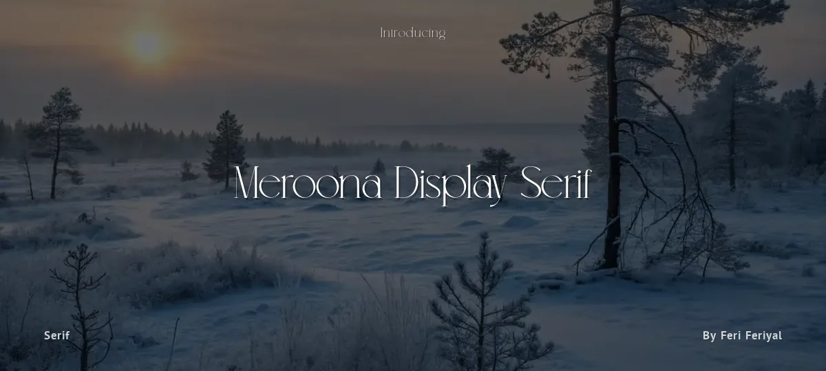 Meroona Display Serif font preview