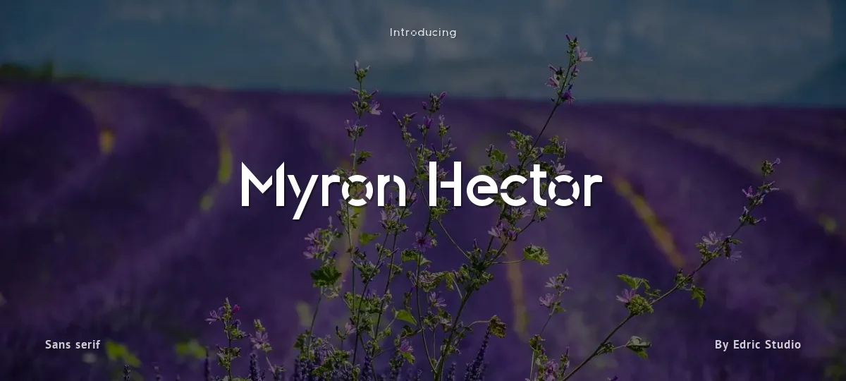 Myron Hector font preview
