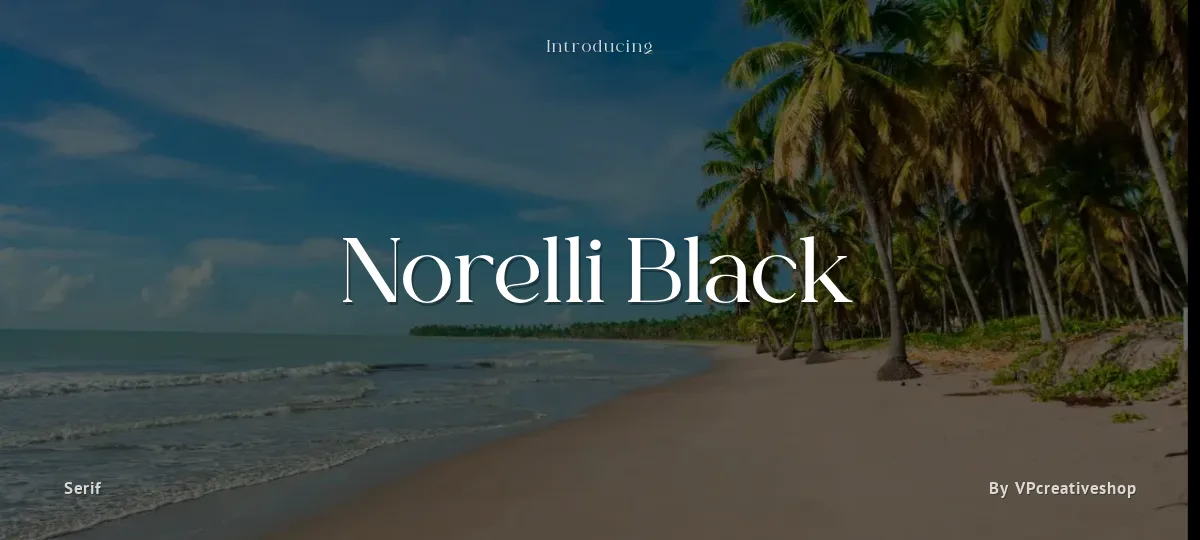 Norelli Black font preview