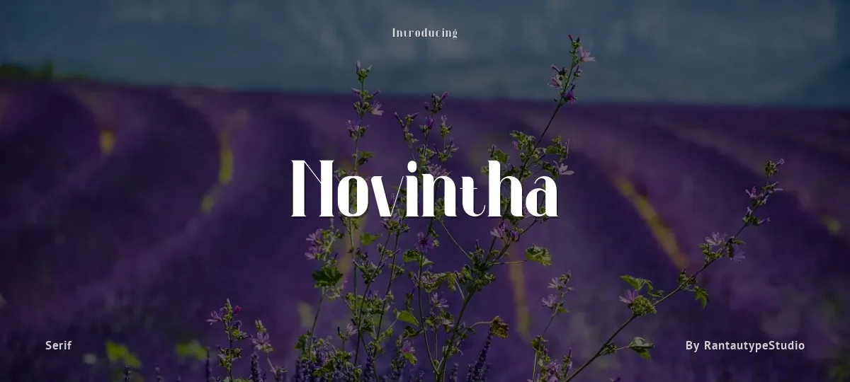 Novintha font preview