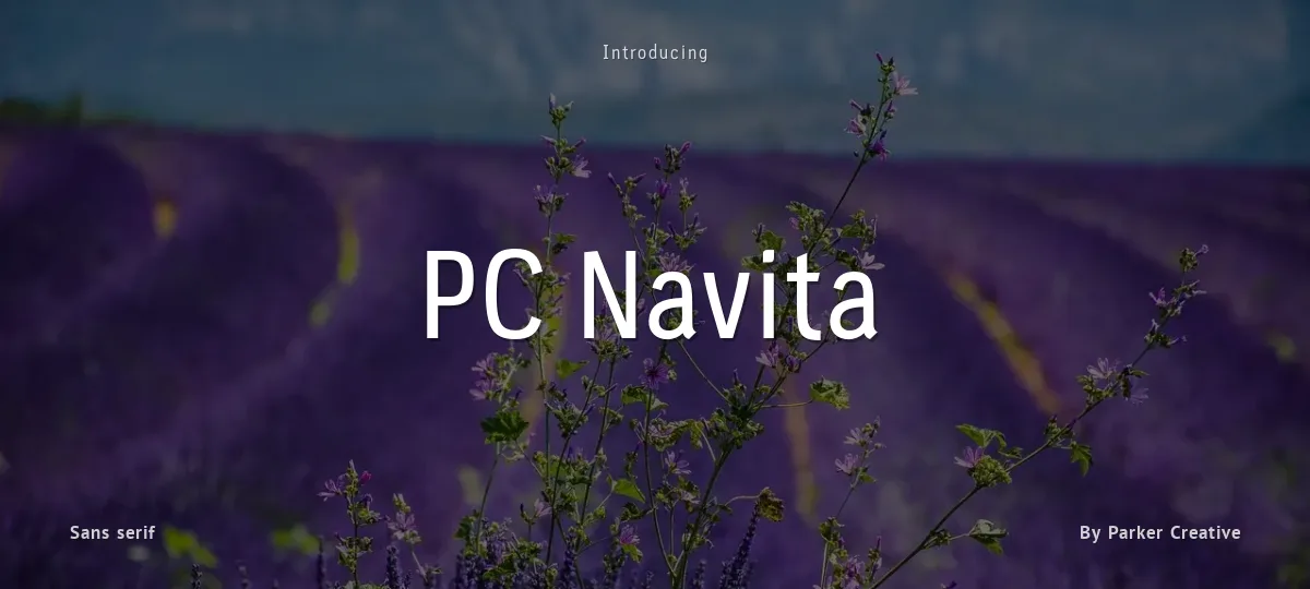 PC Navita font preview