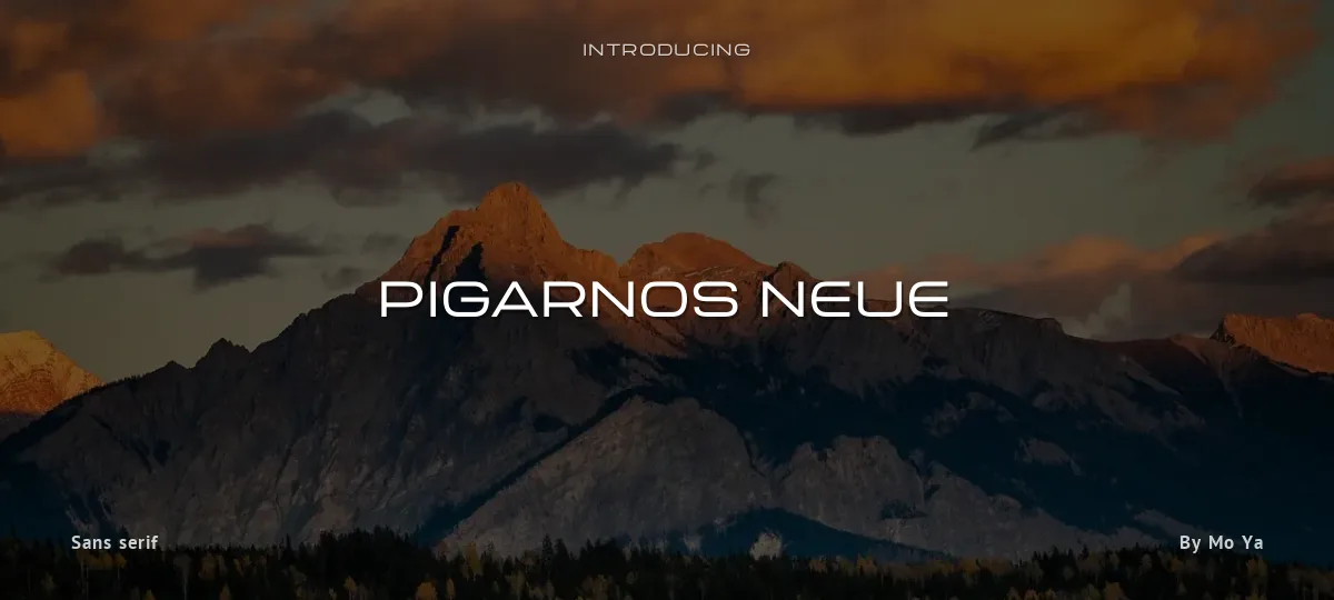 Pigarnos Neue font preview