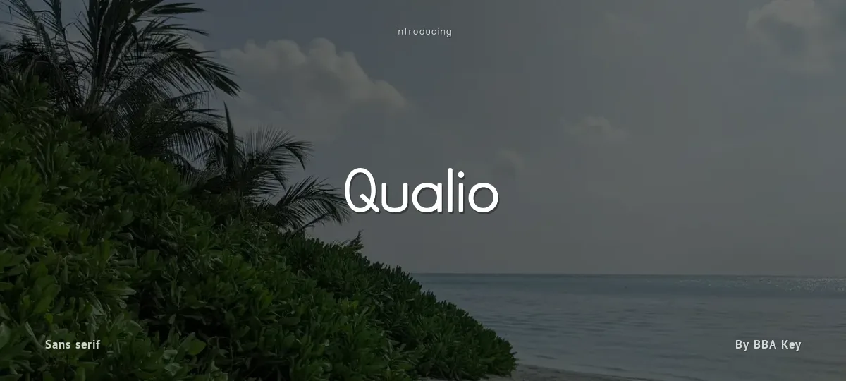 Qualio font preview
