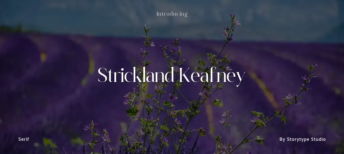 Strickland Keafney font preview