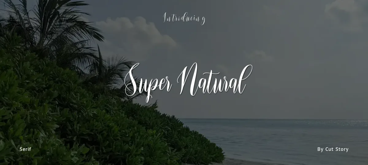 Super Natural font preview
