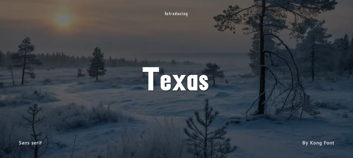 Texas font preview