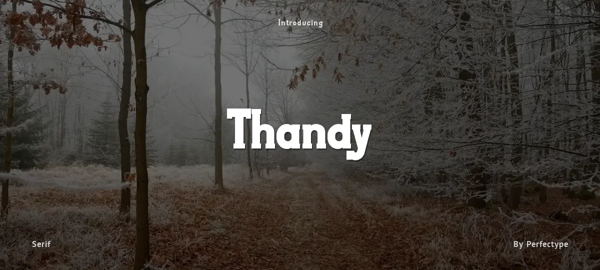 Thandy font preview