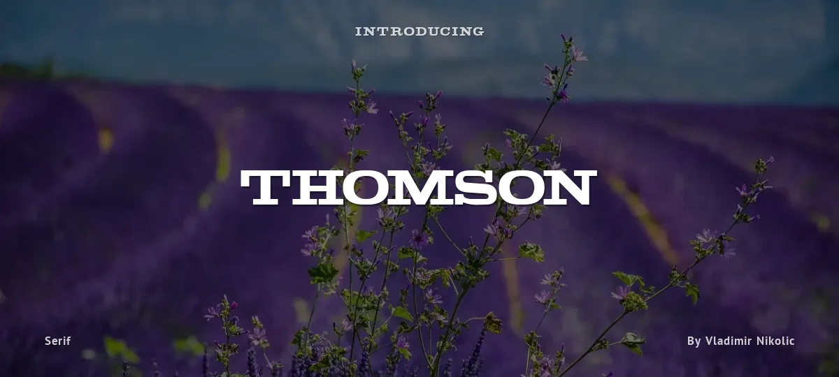 Thomson font preview