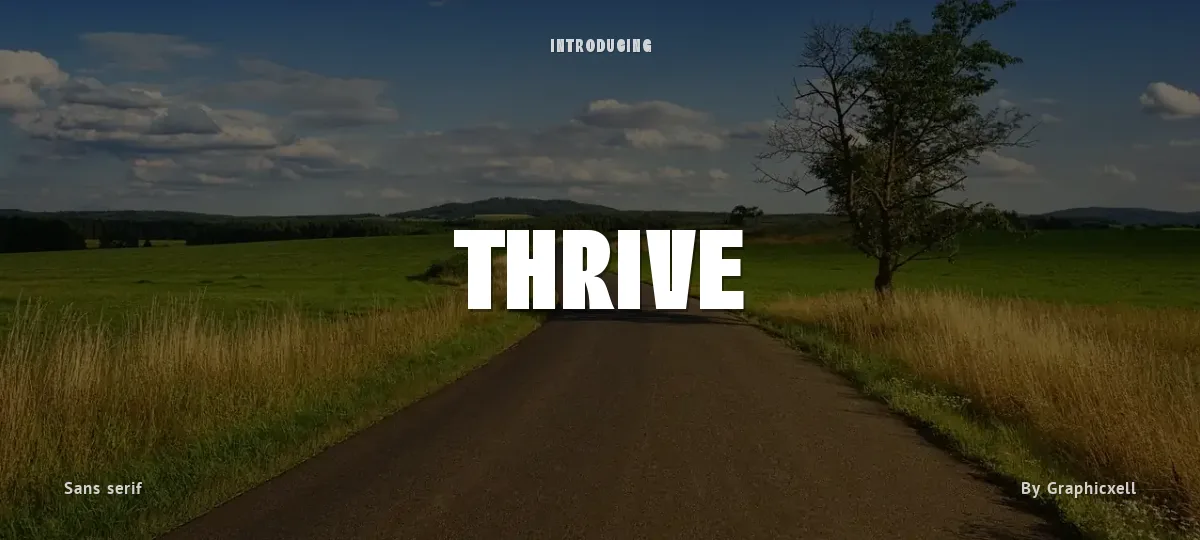 Thrive font preview