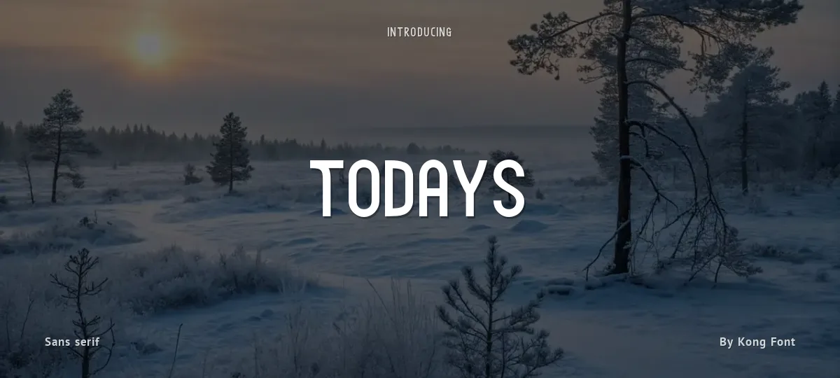 Todays font preview