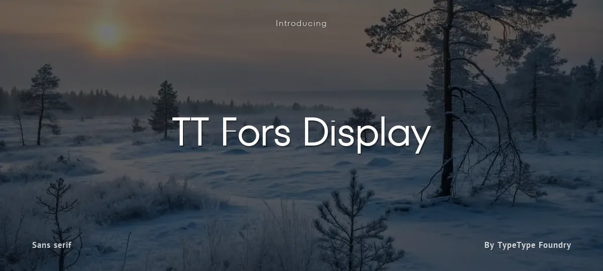 TT Fors Display font preview