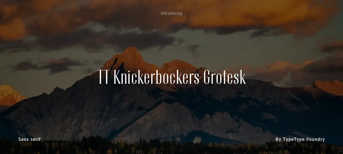 TT Knickerbockers Grotesk font preview