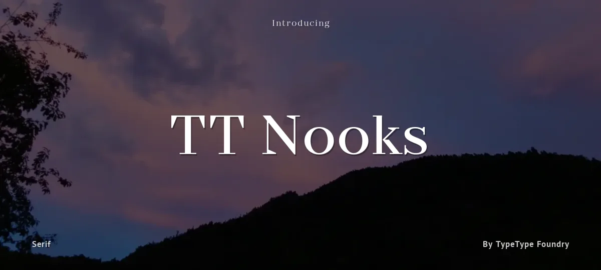 TT Nooks font preview