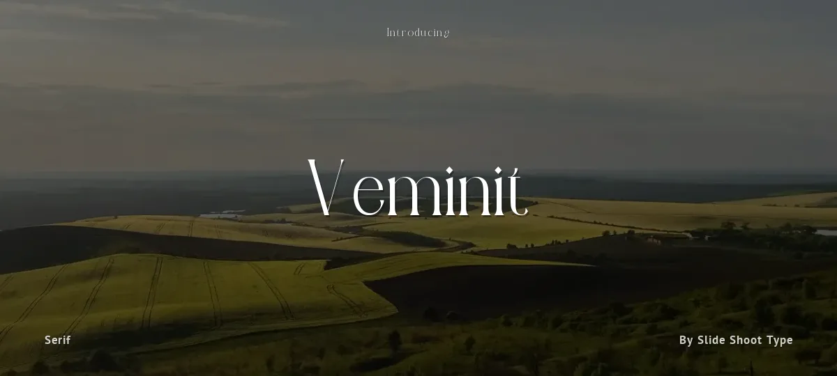 Veminit font preview